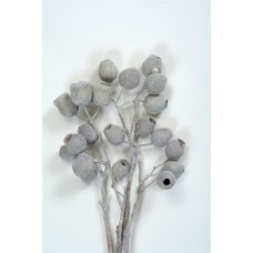 BELLGUM BRANCH Frosted White  5-7 Pods